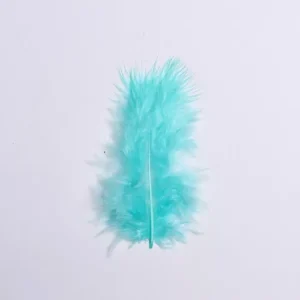PLUMAS - celestes